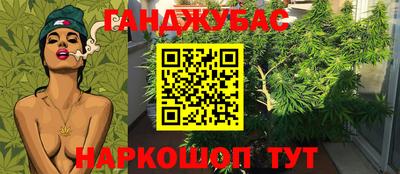 стафф Боровичи