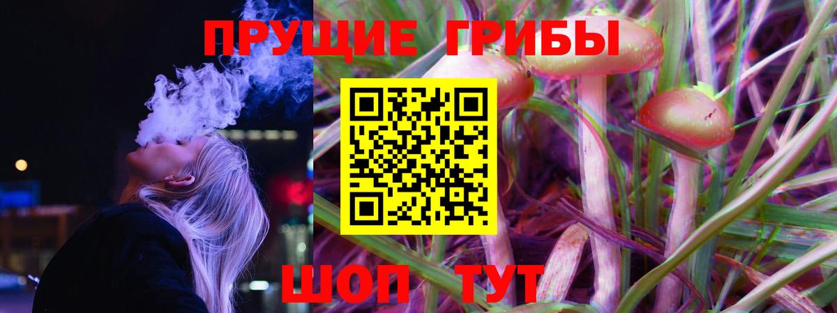Галлюциногенные грибы GOLDEN TEACHER  Галлюциногенные грибы мицелий  Вход с VPN  Тобольск 