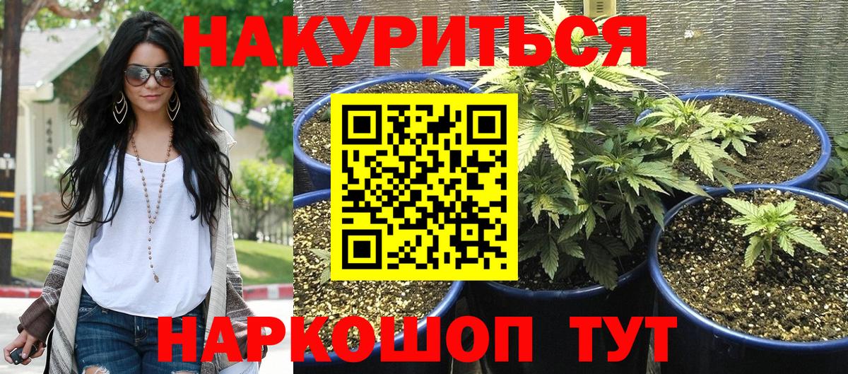 Марихуана гибрид Тобольск